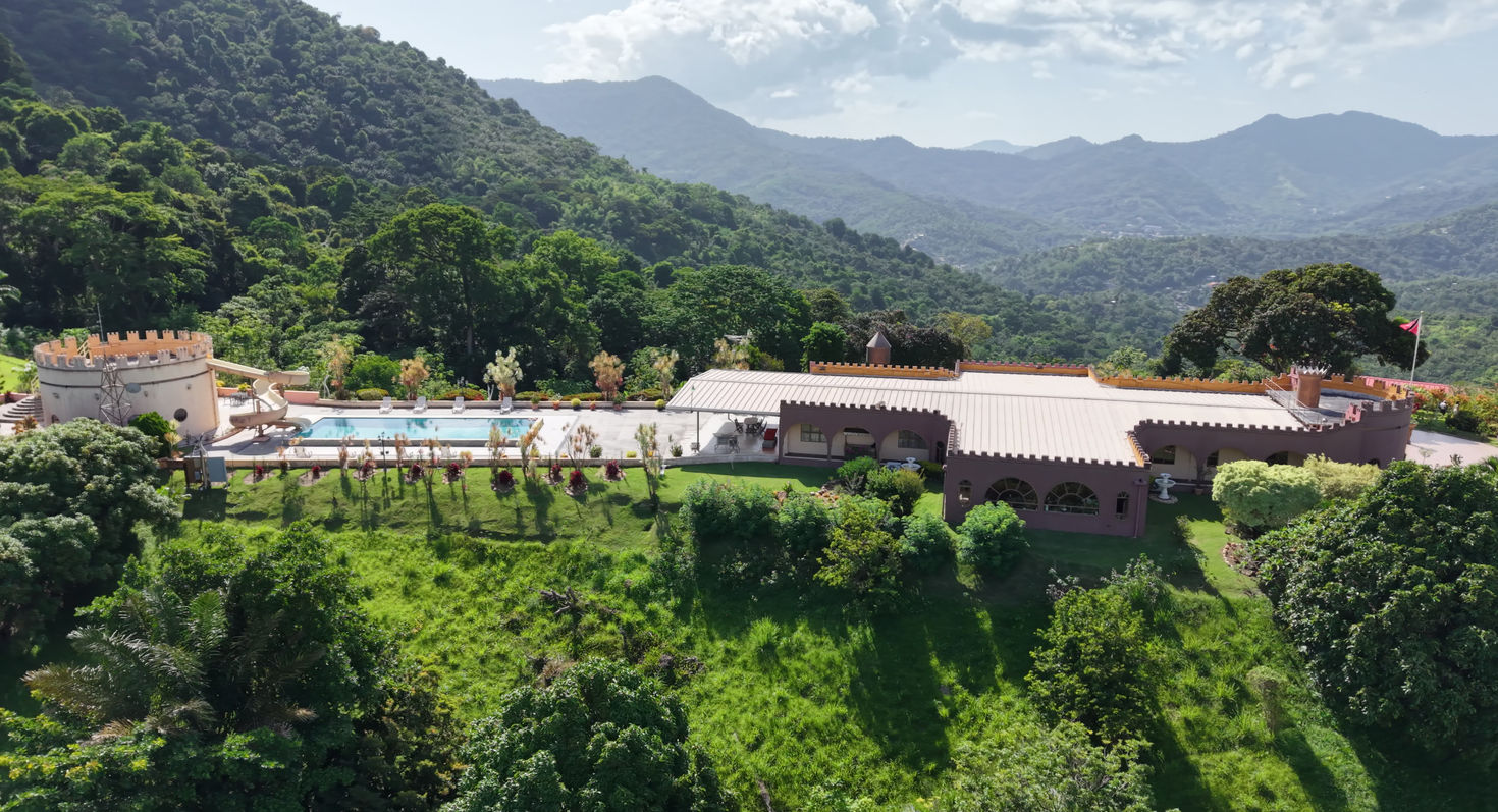 Shandelle Lauren Residence Aerial Overview